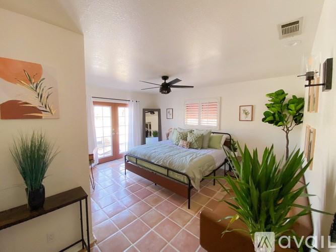 A bedroom with a bed, a ceiling fan, and a potted plant.