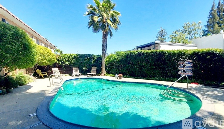 A small pool surrounded by a hedge and a palm tree.