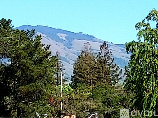 A mountain range with trees in the foreground.