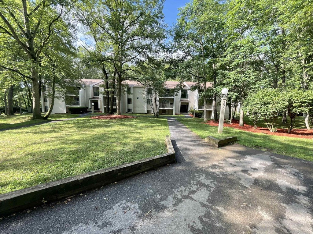 A white building surrounded by trees and a driveway.