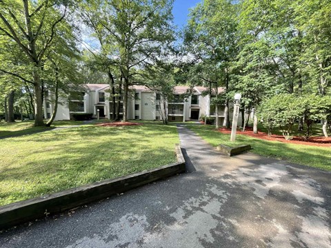 A white building surrounded by trees and a driveway.