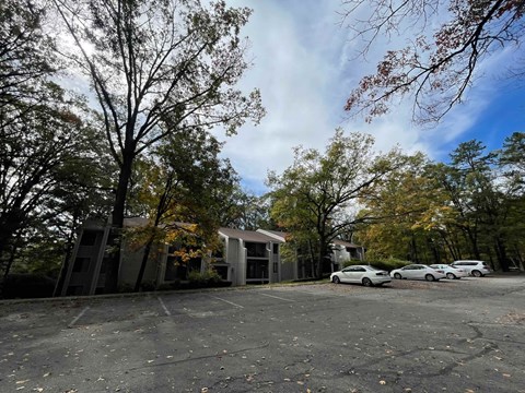 A parking lot with cars and trees in the background.