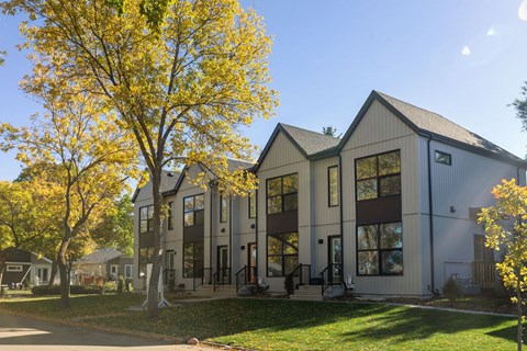 A modern building with a large tree in front of it.