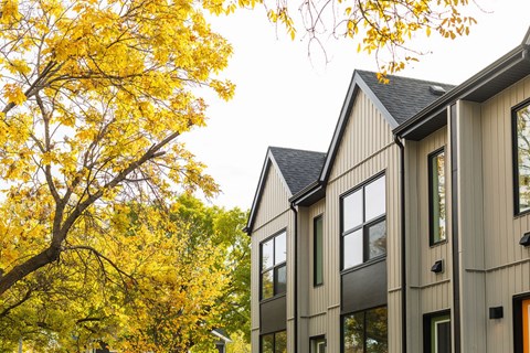 A tree with yellow leaves is in front of a grey house.
