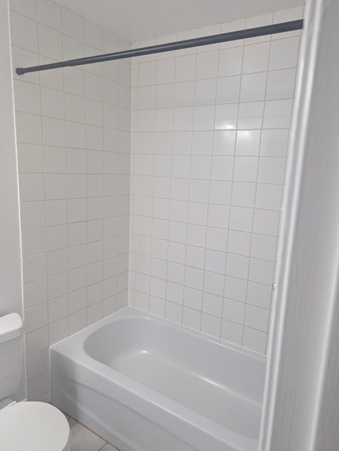 45 Cannifton Road 1-2 Beds Apartment for Rent - Photo Gallery 2