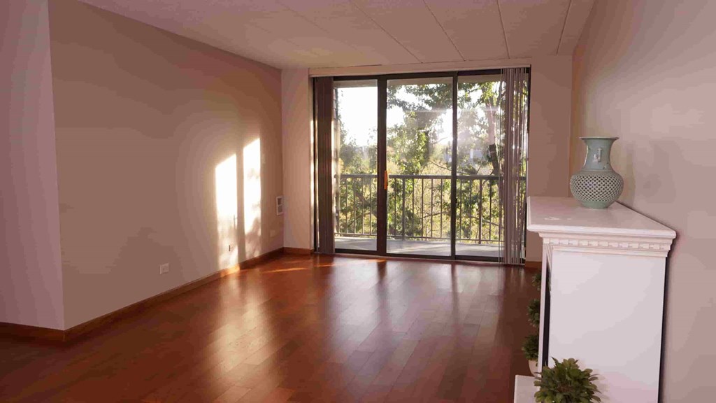 A room with a fireplace and a plant on the floor.