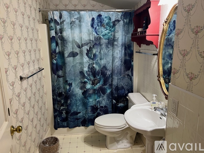 A bathroom with a toilet, sink, and shower curtain.