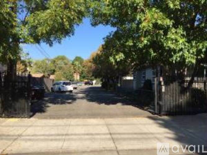 A tree-lined street with cars parked on the side.