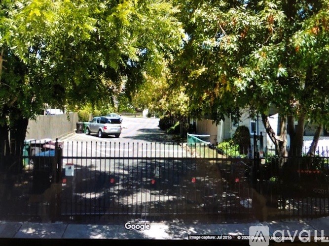A tree-lined street with cars parked on the side.