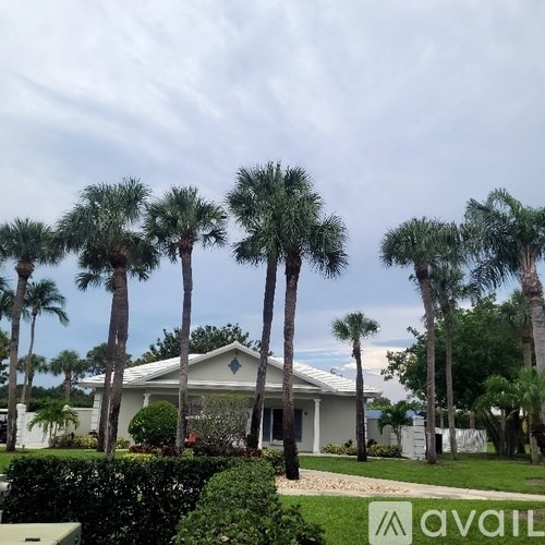 A house with a white roof and a palm tree in front.