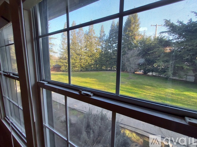 A view from a window looking out to a green lawn and trees.