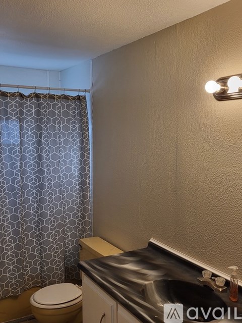 A bathroom with a toilet, sink, and shower curtain.