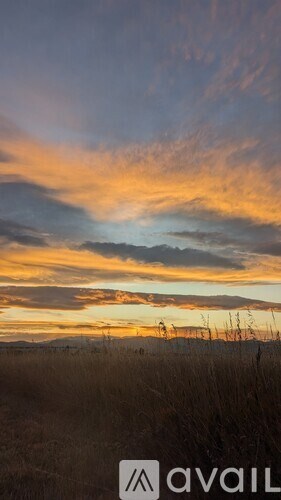 A field with tall grass under a sky with clouds.