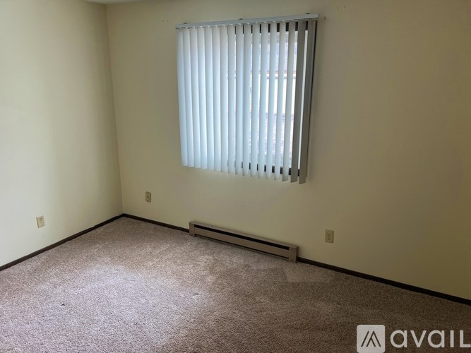 A room with a carpeted floor, a window with blinds, and a radiator beneath the window.