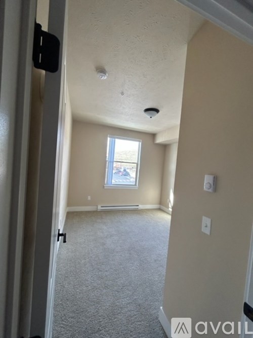 A carpeted room with a window and a door.
