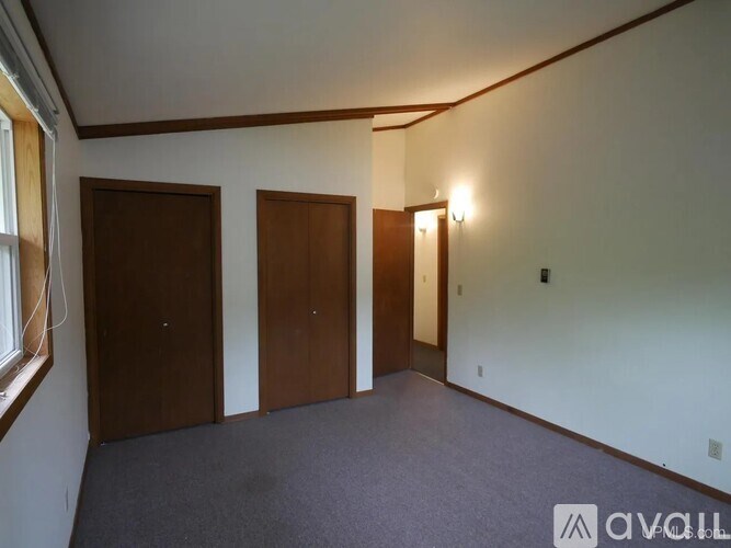 A room with three brown doors and a window on the left side.