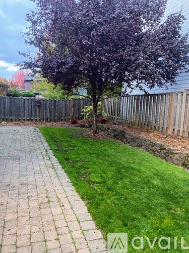 A purple flowering tree in a backyard.
