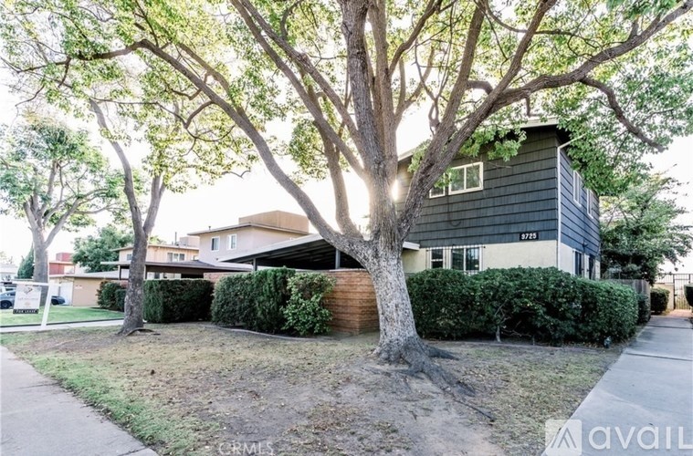 A house with a tree in front of it is for sale.