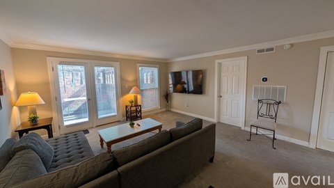 A living room with a grey couch, a small table with a plant, and a television.