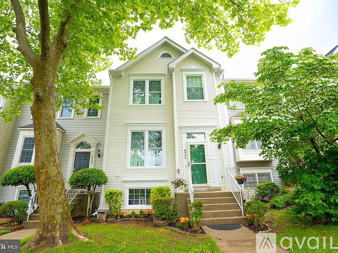 A house with a white front door and green shutters is surrounded by trees and bushes.