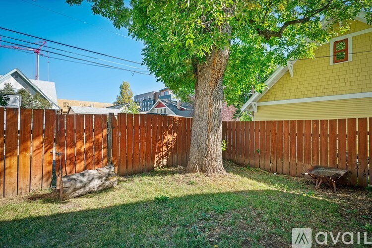 A tree in a backyard with a wooden fence.