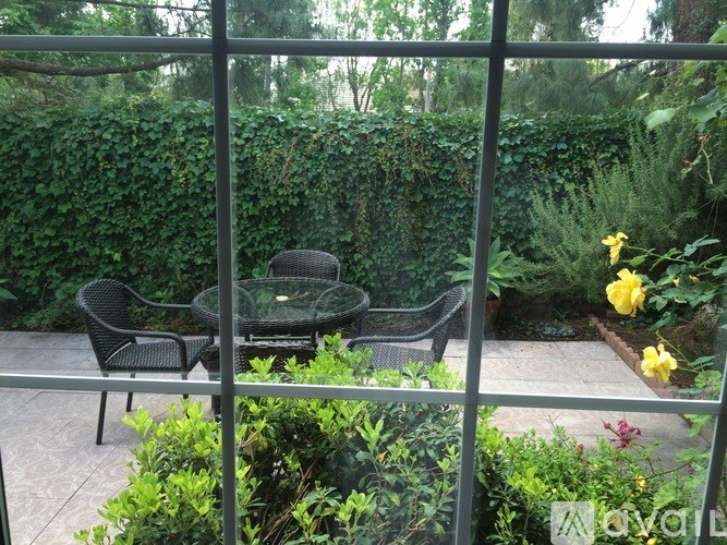A glass table surrounded by chairs and plants.