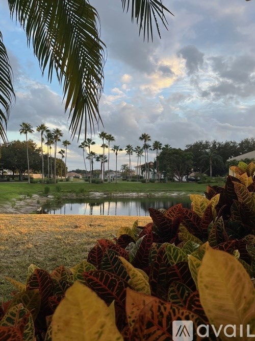 A beautiful landscape with a lake, palm trees, and a cloudy sky.