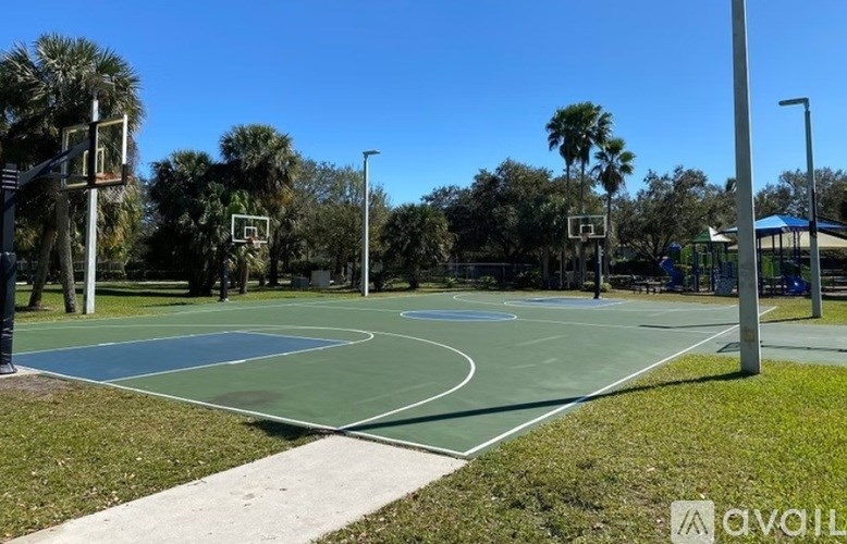 A basketball court with a blue sky and palm trees in the background.