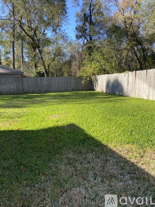 A backyard with a wooden fence and trees in the background.