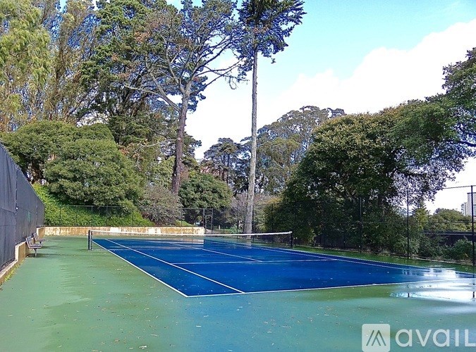 A tennis court surrounded by trees and bushes.