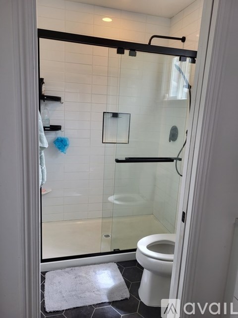 A bathroom with a toilet, a glass shower door, and a white rug.