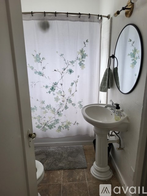 A bathroom with a sink, mirror, and shower curtain.