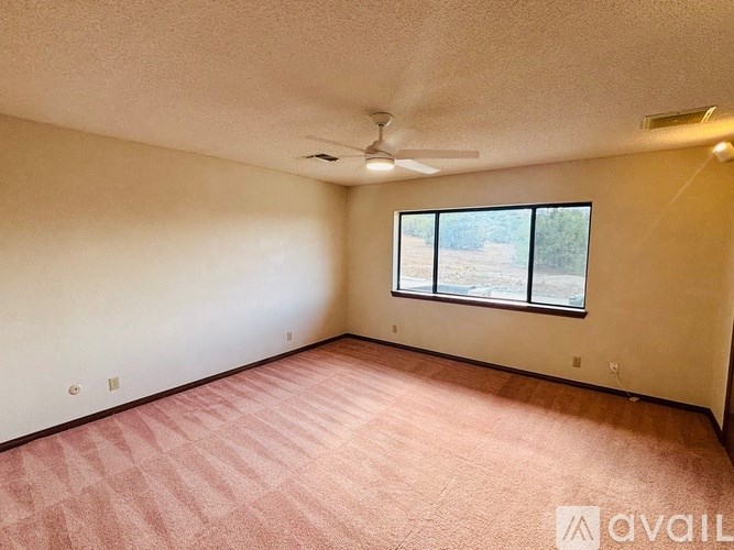 A room with a carpeted floor and a window.