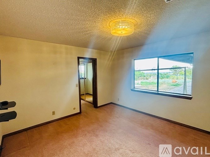A room with a carpeted floor, a ceiling light, and a window with a view of the outdoors.