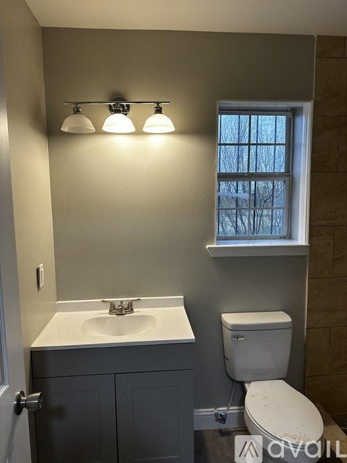 A bathroom with a toilet, sink, and light fixture.
