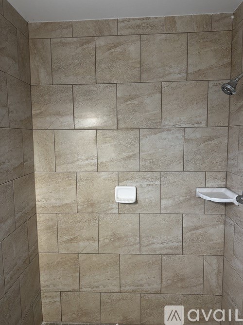 A bathroom with a tiled shower wall.
