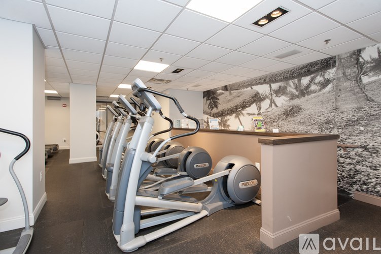 A gym with treadmills and exercise balls.