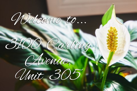 A welcome sign with a flower in the background.