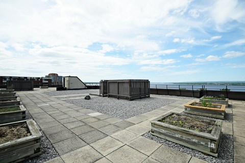 A rooftop garden with raised beds and a view of the city in the background.