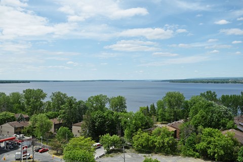 A view of a lake from a high vantage point with trees and buildings in the foreground.