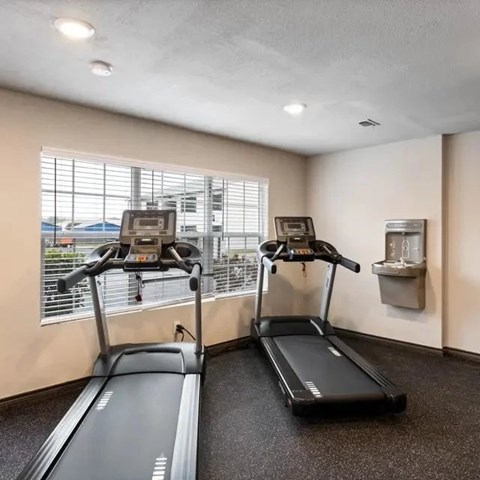 Two treadmills are placed in a room with a window.