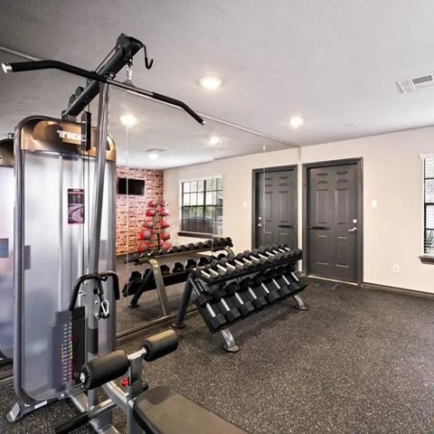 A gym with a variety of equipment including a squat rack, bench press, and a mirror.