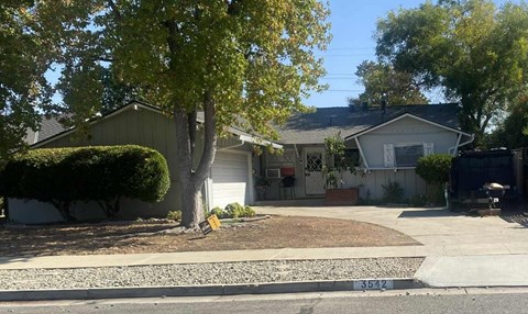 A tree stands in front of a house with a driveway.