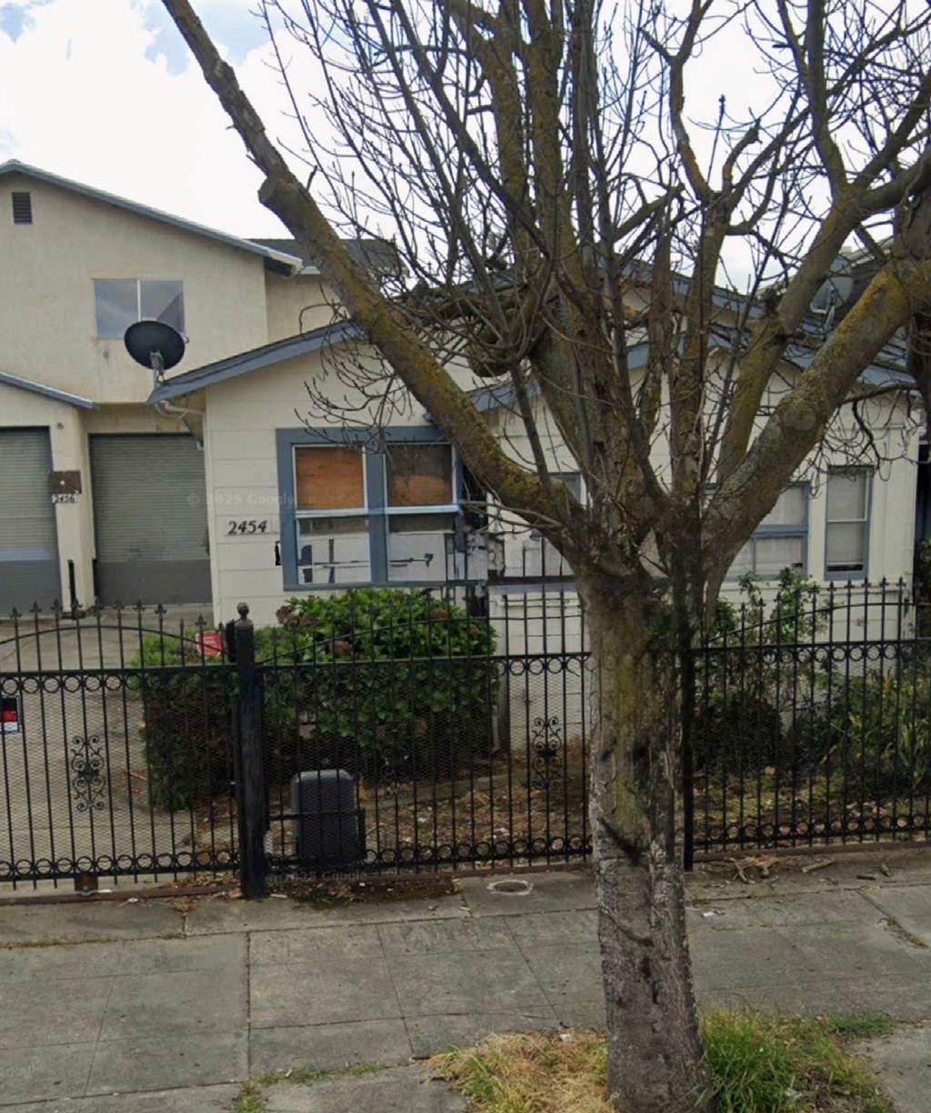 A tree in front of a house with a black fence.