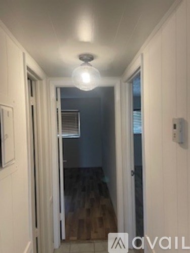 A hallway with a light on the ceiling and a door on the right.