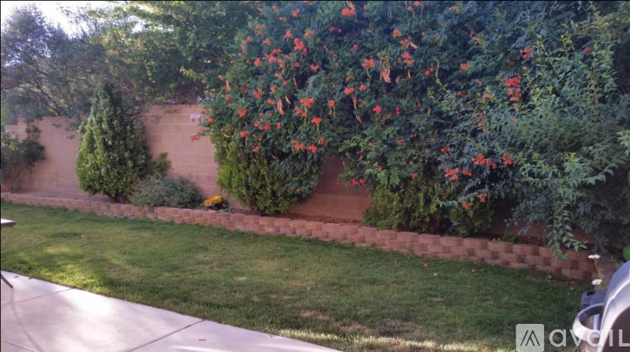 A tree with red flowers is in the foreground of a grassy area.