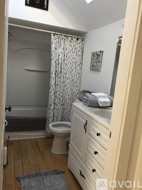 A bathroom with a toilet, a shower curtain, and a cabinet.