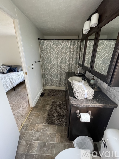 A bathroom with a black vanity and a patterned shower curtain.