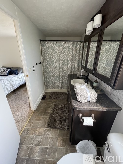 A bathroom with a black vanity and a patterned shower curtain.