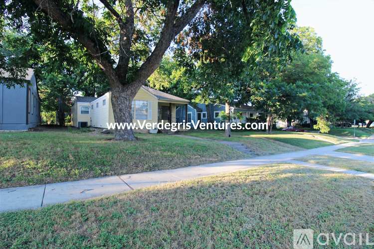 A tree in a grassy area with a house and a trailer in the background.